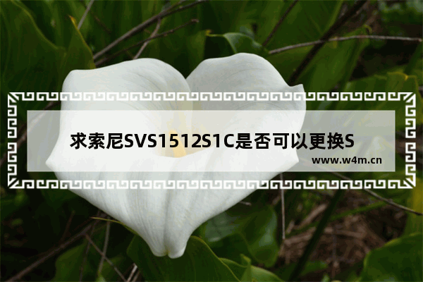 求索尼SVS1512S1C是否可以更换SSD硬盘