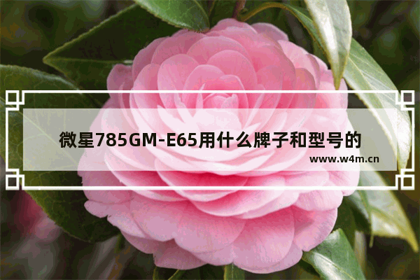 微星785GM-E65用什么牌子和型号的显卡可以交火