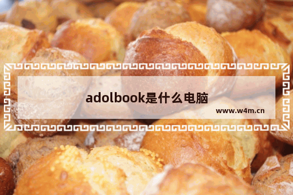 adolbook是什么电脑