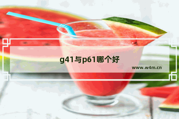 g41与p61哪个好