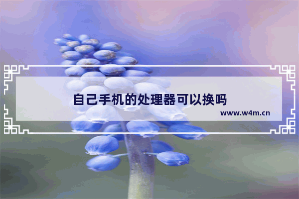 自己手机的处理器可以换吗