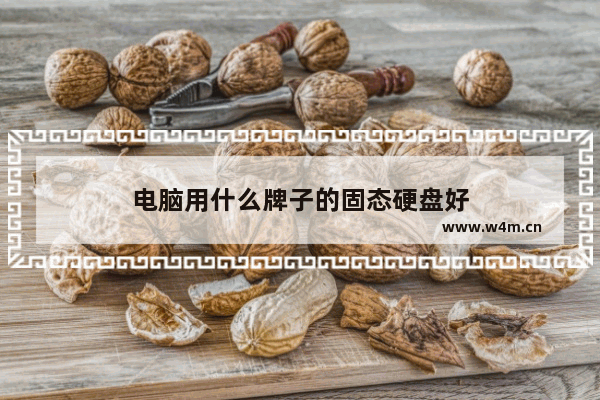 电脑用什么牌子的固态硬盘好