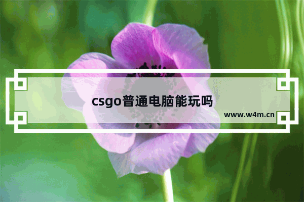 csgo普通电脑能玩吗