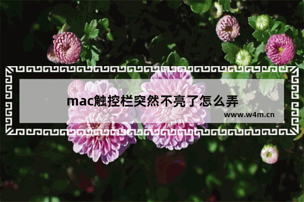 mac触控栏突然不亮了怎么弄