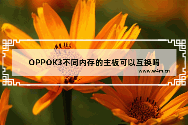 OPPOK3不同内存的主板可以互换吗