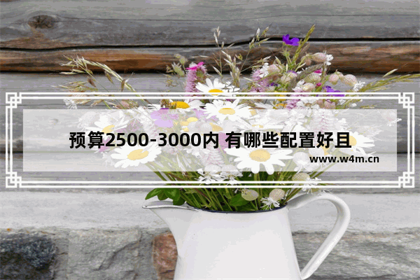 预算2500-3000内 有哪些配置好且屏幕是AMOLED屏幕的手机推荐吗