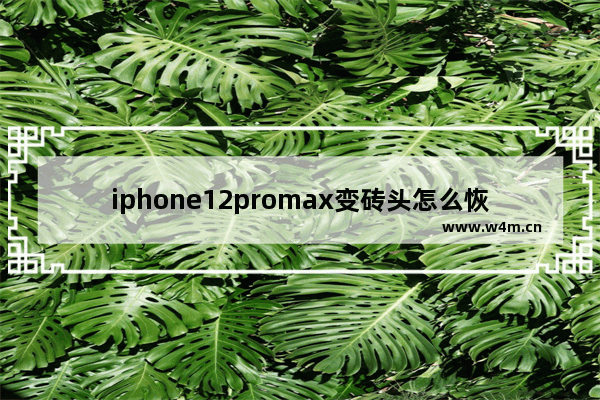 iphone12promax变砖头怎么恢复