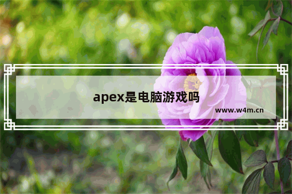 apex是电脑游戏吗