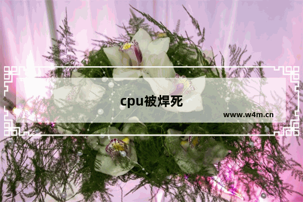 cpu被焊死