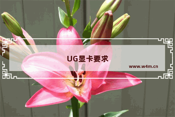 UG显卡要求