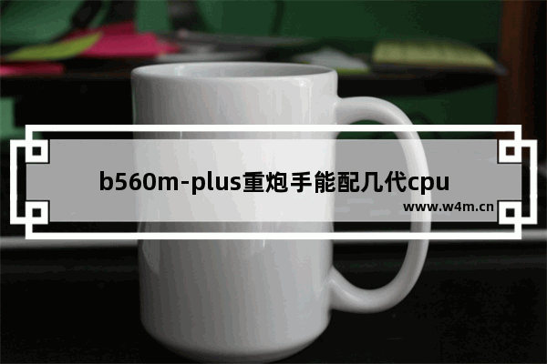 b560m-plus重炮手能配几代cpu