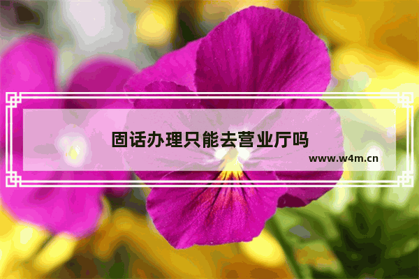 固话办理只能去营业厅吗