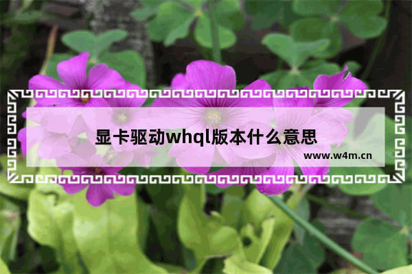 显卡驱动whql版本什么意思