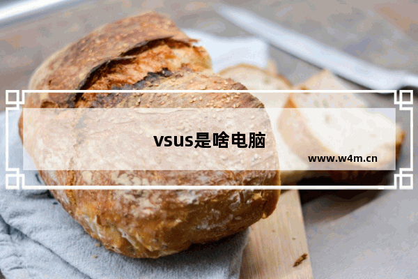 vsus是啥电脑