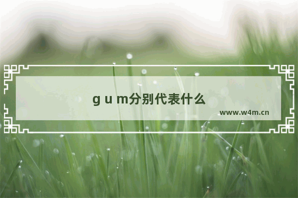 g u m分别代表什么