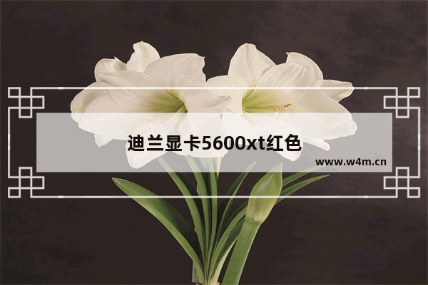 迪兰显卡5600xt红色