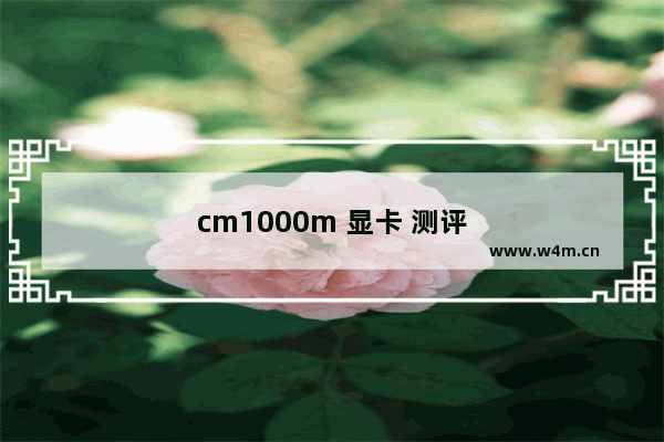 cm1000m 显卡 测评