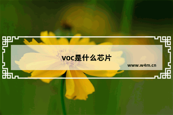 voc是什么芯片