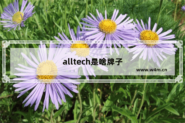 alltech是啥牌子