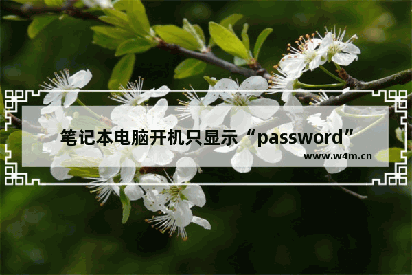 笔记本电脑开机只显示“password”怎么解决