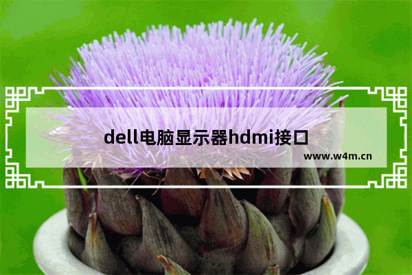 dell电脑显示器hdmi接口