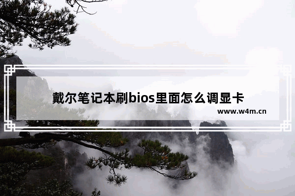 戴尔笔记本刷bios里面怎么调显卡