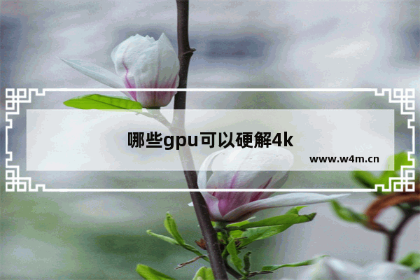 哪些gpu可以硬解4k