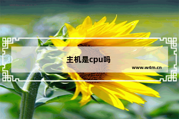 主机是cpu吗 