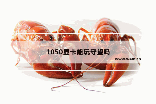 1050显卡能玩守望吗