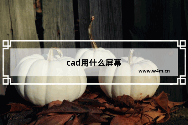 cad用什么屏幕