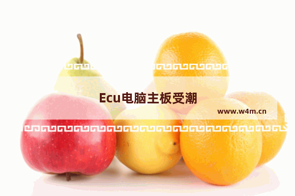 Ecu电脑主板受潮