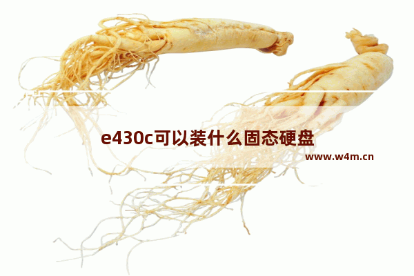 e430c可以装什么固态硬盘