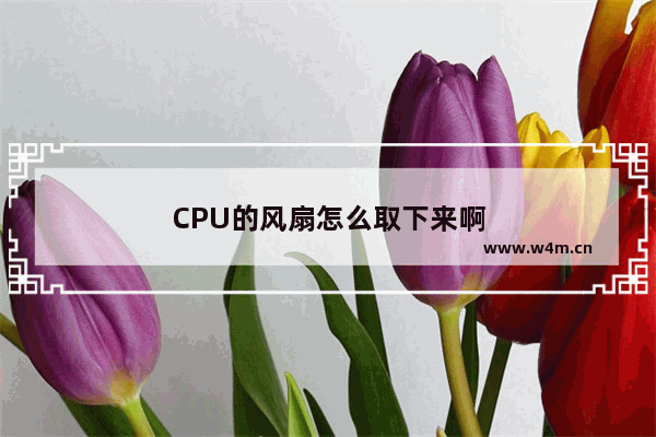 CPU的风扇怎么取下来啊