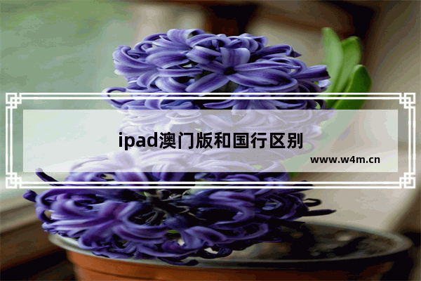 ipad澳门版和国行区别