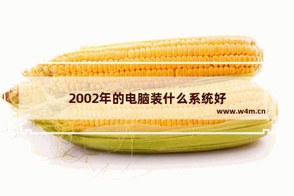 2002年的电脑装什么系统好