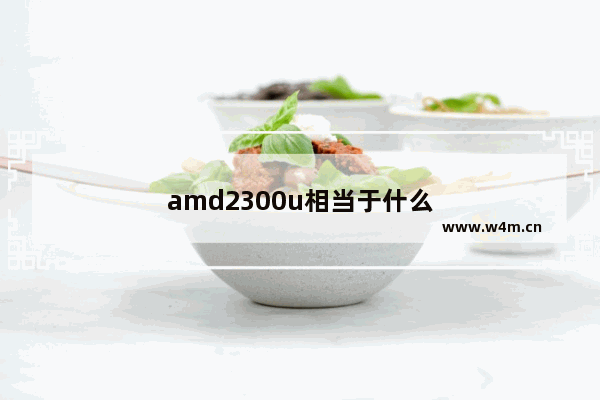 amd2300u相当于什么