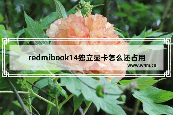 redmibook14独立显卡怎么还占用系统内存