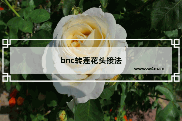 bnc转莲花头接法