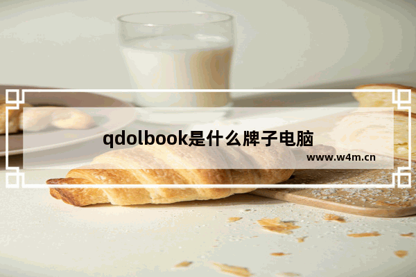 qdolbook是什么牌子电脑