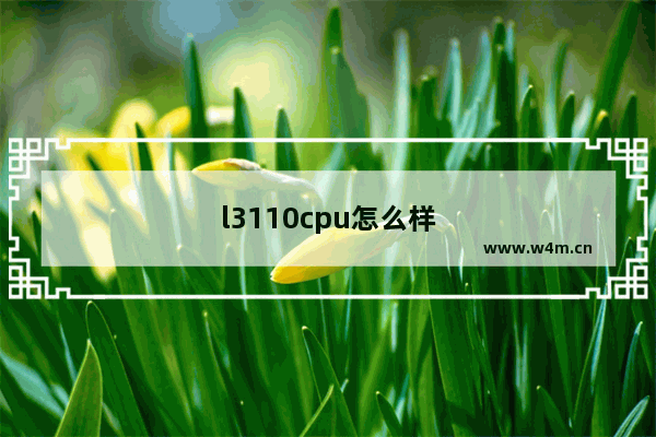 l3110cpu怎么样