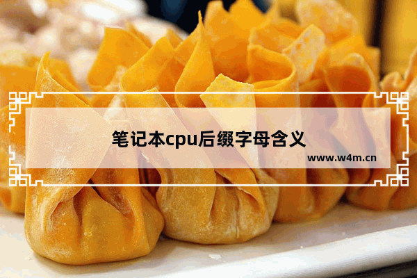 笔记本cpu后缀字母含义