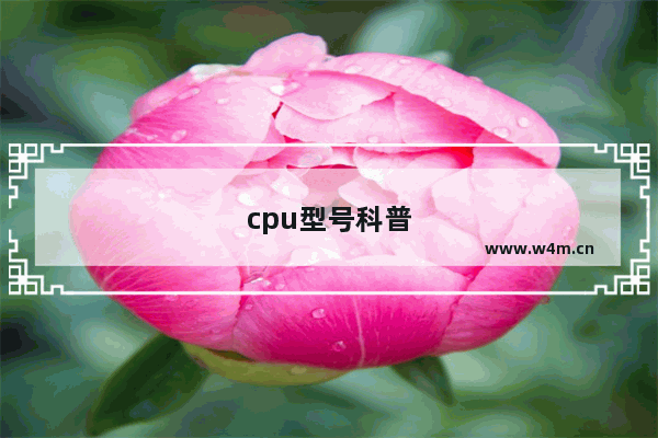 cpu型号科普