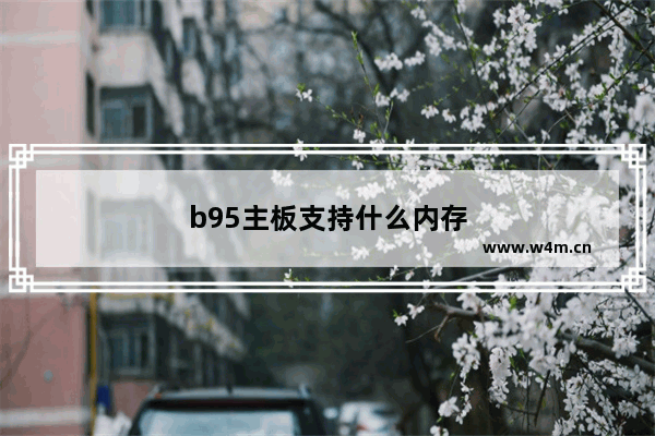 b95主板支持什么内存