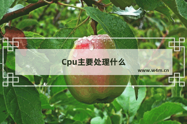 Cpu主要处理什么