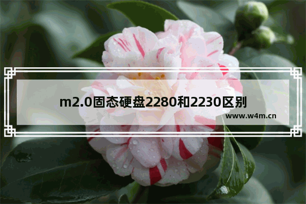 m2.0固态硬盘2280和2230区别