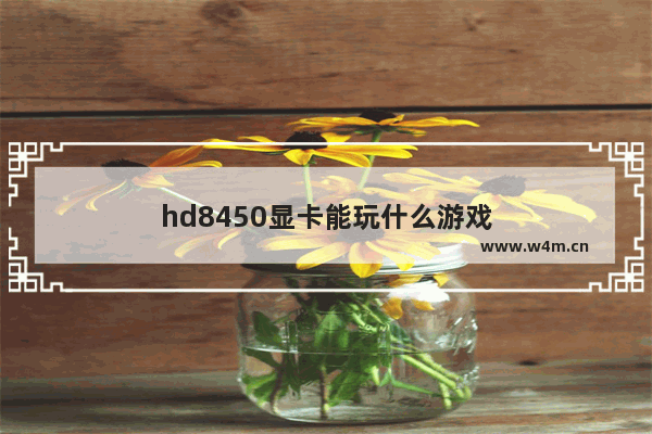 hd8450显卡能玩什么游戏