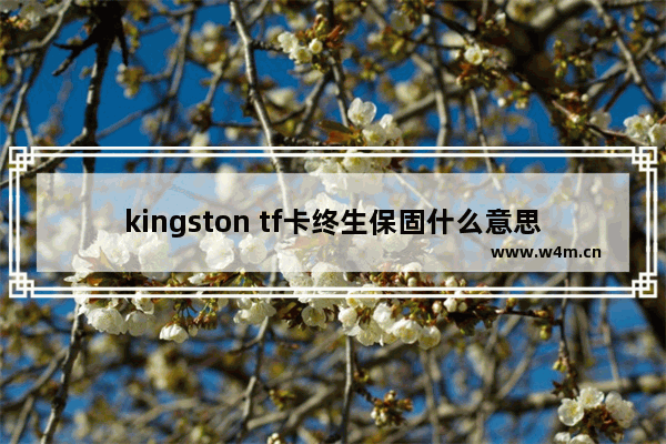 kingston tf卡终生保固什么意思