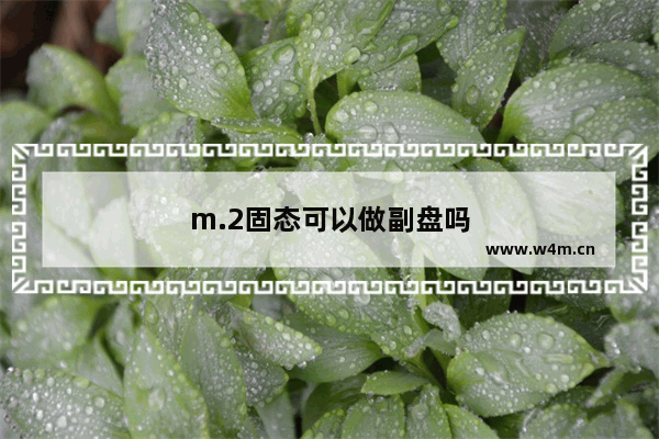 m.2固态可以做副盘吗