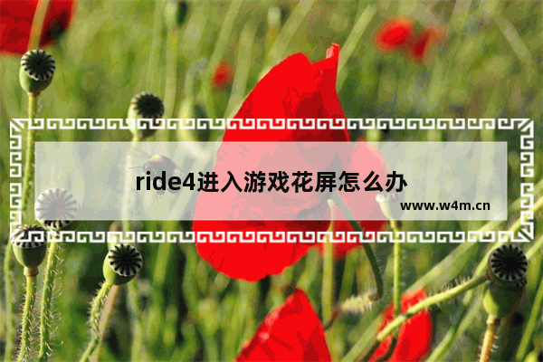 ride4进入游戏花屏怎么办