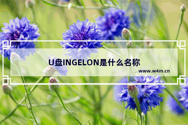 U盘INGELON是什么名称